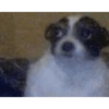 نظرة ضبابية