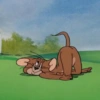 توم القط المغازل