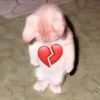🐱💔😢 قطط حزينة 😢💔🐱 (2mw79vfkb3)