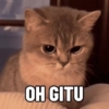KUCING NGAMBEK (z3vx62wbfy)