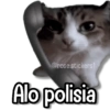 ألو شرطة