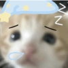 🧿Reacciones gatunas🐱🐈