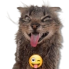 لسان مجنون