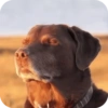 Meme Reaction Tiktok #6 (gvdm5c49w8)