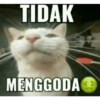 Kucing bakekok😹 (gpwk8jsx5b)