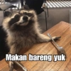 Raccoon Lucu (5k2fj7h98v)