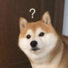 تفاعلات الكلاب 🐶✨ (2wyrqxmvbj)