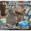 Stiker miaw (k3h8m2tswf)