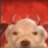 PerrOoZZ🐕🐶 (dm4t6xsngy)