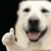 PerrOoZZ🐕🐶 (2mrycqw3hd)