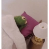 El de los Muppets 🤑🐸 (m4983n5tyf)