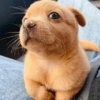 PerrOoZZ🐕🐶 (bsdwkm56jc)