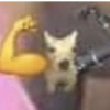 PerrOoZZ🐕🐶 (mtfy27g5zn)