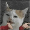 Reações mais usadas (bxnvfg9h8z)