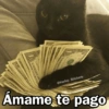 🩷😍Gatitos Con Frases🥴🐈‍⬛ (tznk3jpv74)