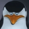 Meme Penguin 🐧 (73jtcyx9p8)