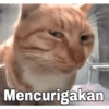KUCING NGAMBEK (kgx3vbn4td)