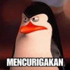 Meme Penguin 🐧 (hc48xm96p5)