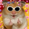 همستر كول بالقلوب
