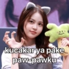 Carmen H2H Meme 🎴 (qgybnpxc4h)