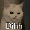 Talk to talk  (q4pzbw2j5c)
