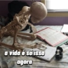 Memes de esqueletos ☠️💀🩻 (7gyq5zjv64)