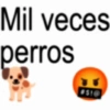 Frases para chat 2 (x49ryznckb)