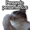 يفكر في أفكار