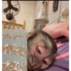 نظرة نعسانة
