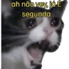 Segundou!!!! tristeza kkk  (xsy9m8cztf)