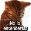 لن تفهم