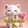 Bom dia  (f4d9pzqb72)