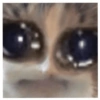 MEME INDO (ydgcx87hz3)
