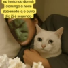 Segundou!!!! tristeza kkk  (th3kxp9q4w)