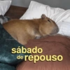 Fala daí chef 😡😡🤙 (sjy2wgzkhv)