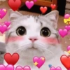 💕🩷 تفاعل القلوب 🩷💕 (vfmcn4hsxt)