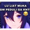 Meme hsr (3xhzy4sgqd)