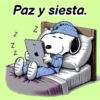 Snoopy cotidiano 🐾⚫⚪ (my652sdphw)