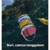 MEME INDO 2 (bxphtczyr6)