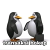 ميمز البطريق بوكيب (63rsxczdbj)