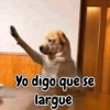 Perrito opinando 🐕☝️ (b2j4ykrqzf)