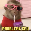 ENVIE UM MACAQUINHO 🐵 (pkd9gms4tn)