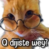 إيش قلت يا صاح؟