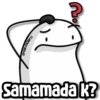 💢Flork Random Memes💯 (ns8xdj53cv)