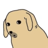ميمز كلب نودانغ (2bdcrk3yv9)