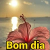 Bom dia  (hj86bz7pr2)