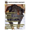 Memes (bw96tzysvn)