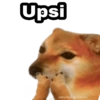 ✨ Cheems Memes 😎🤠 (2rx4pqgnz8)