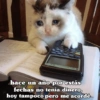 ⋆🐾 gatos tristes ᓚ₍ ^•⁠ ⁠ᴥ •^₎ (k9ft6qnb5m)