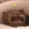 ميمز البكاء (7mt9pznh8s)